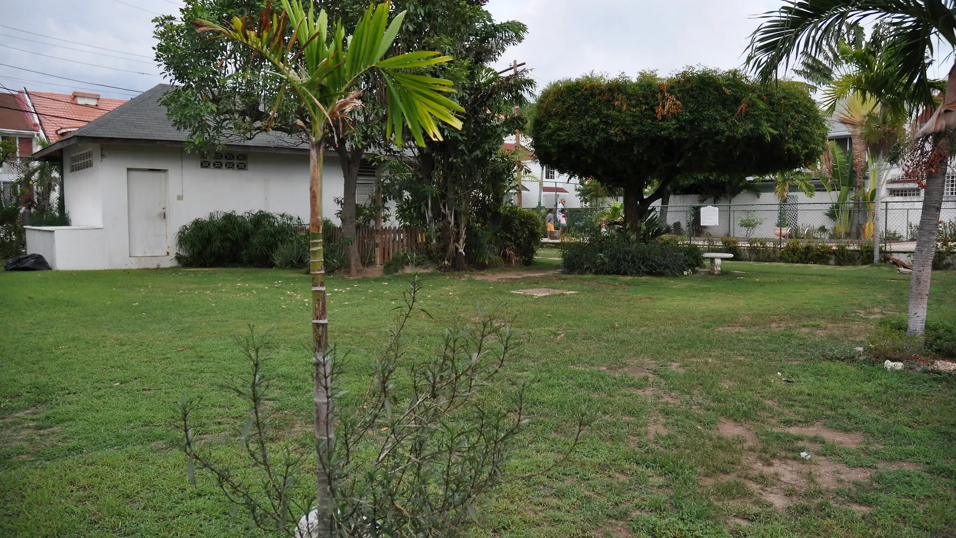 Enfield New Kingston Guest Apartment VII